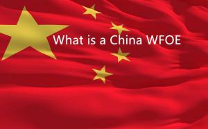 ¿Qué es un WFOE en China y por qué obtener ayuda local para hacer las cosas más fáciles?